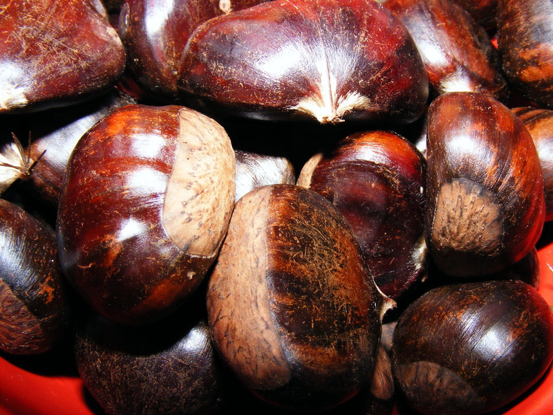 close-up, fruit, indoors, fagaceae, food and drink, sweet, castanea, nut, freshness, healthy eating, nut - food, backgrounds, day, sativa, still life, wellbeing