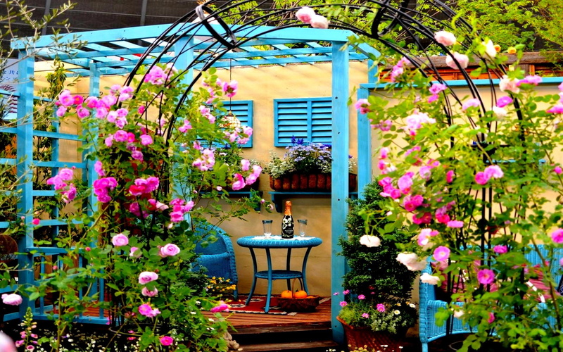 scented, table, round, relax, blue, rose, top, bouquets, nature and landscapes, garden, steel, chairs, 1080P