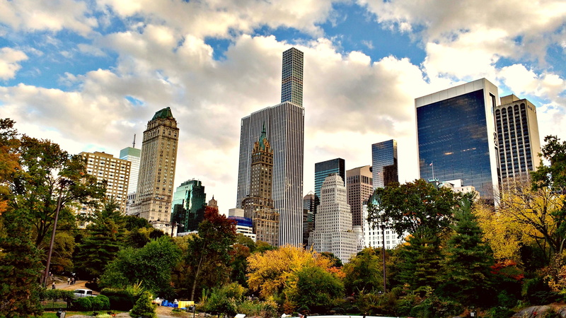 plant, central park new york, built structure, architecture, city, new york skyline, office, park, usa, tall - high, central park, residential district