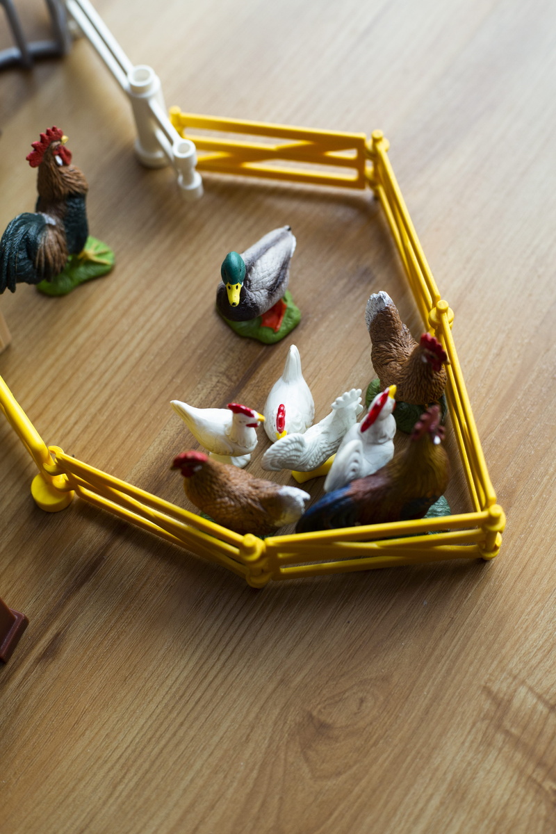 playset, representation, indoors, choice, craft, hens, chickens, flooring, focus on foreground, toys, 5K, no people, toy, table, japanese food, variation