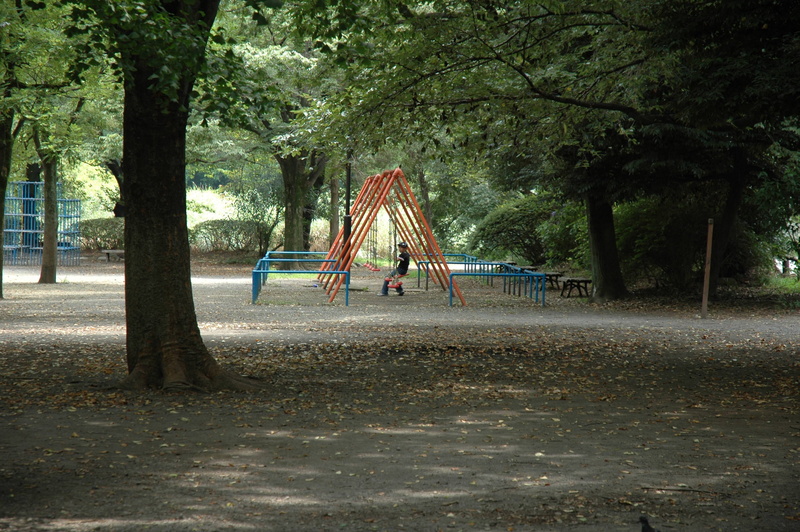 nature, tree, no people, big tree, absence, summer vacation, growth, park - man made space, japan, playground, sunshine, plant, day, endless summer, outdoors