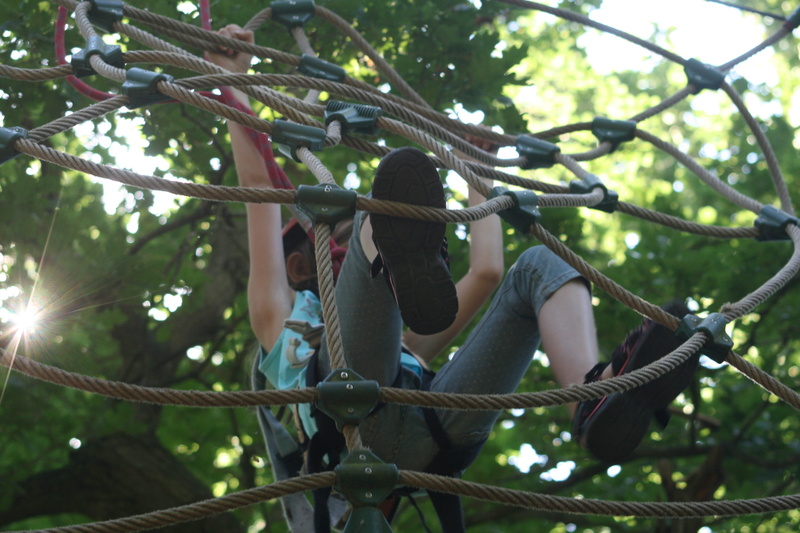 network, people, holding, nature, balance, real people, play, adventure, hanging, game device, daytime, plant, leisure activity, climb, low angle view