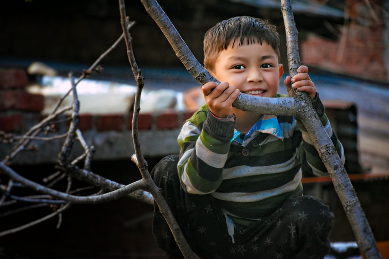 childhood, portrait, playground, 5K, boy, one person, bare tree, branch, outdoors, real people, cute, lifestyles, wear, adorable, person, outdoor play equipment