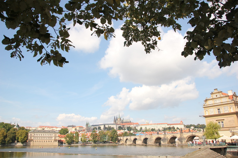 arch bridge, plant, place, building, bridge - man made structure, nature, water, tree, architecture, day, czech, historic, 5K, built structure, travel destinations