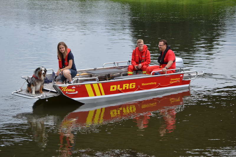 mammal, rescue dog, boot, water rescue, nature, people, 4K, adult, dogs, group of people, water, dlrg, mode of transportation, women, lifeboat, wave, outdoors
