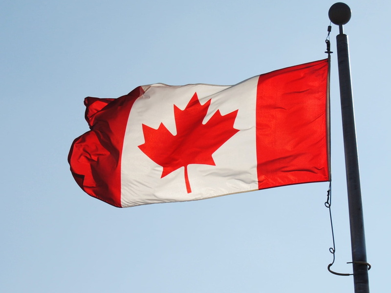 red, environment, country, plant part, clear sky, flag, sky, low angle view, canada, no people, nation, blue, sunny, steel, leaf, outdoors, maple leaf