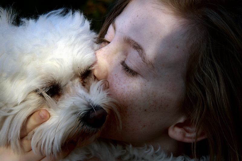 one person, hairstyle, 4K, positive emotion, emotion, mammal, complicity, headshot, soft, hug complicity, animal, pets, love, lap dog, small, child, domestic animal