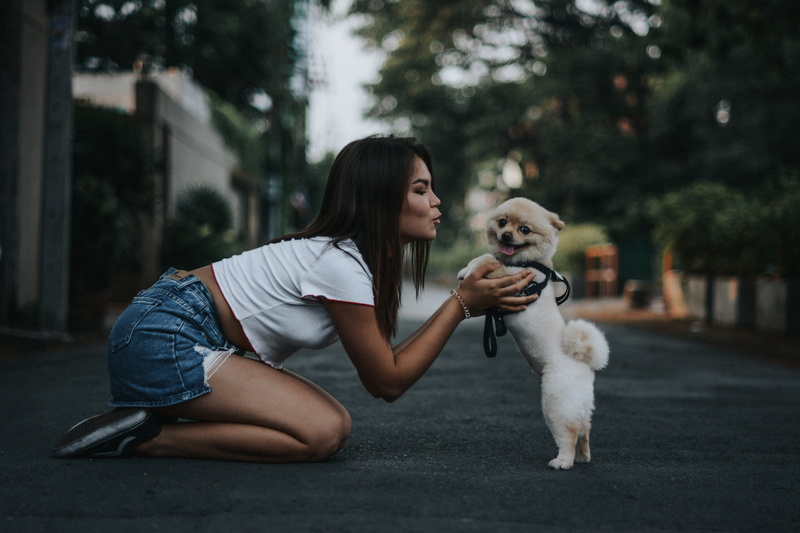 animal, women, female, outdoors, holding, dog, hairstyle, 5K, teenager, portrait, adult, kneel, adolescence, pets, dance, nikon, urban, young adult