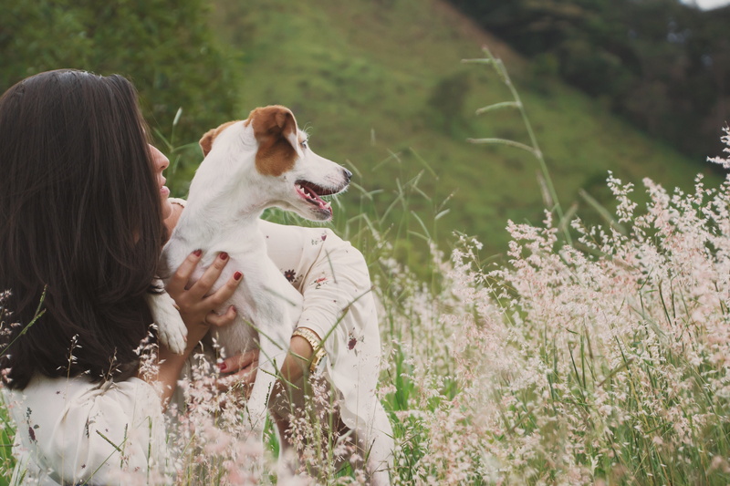 dress, cute, love, day, adorable, plant, vertebrate, lifestyles, country, pets, outdoors, enjoyment, fun, purebred, leisure activity, animal, woman, fur
