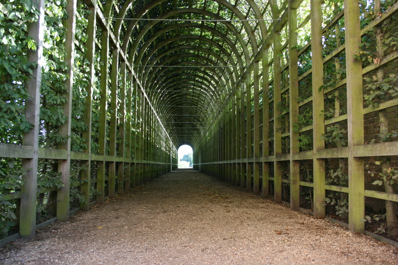 light at the end of the tunnel, the way forward, bridge, tunnel, plant, long, tree, diminishing perspective, brown, life, focus, wooden, hampton court