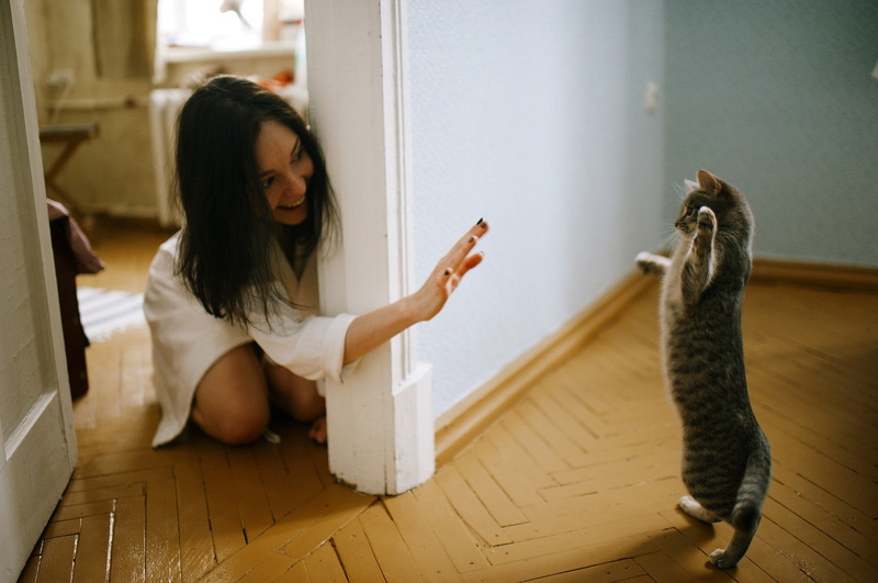 720P, casual clothing, smiling, animals, white shirt, domestic cat, kittens, mammal, women, Marat Safin, full length, one animal, domestic, domestic animals