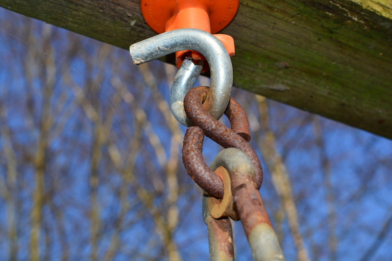 hook, rusted, no people, hanging, focus on foreground, security, nature, fence, eyelets, weight, old, metal, safety, chain, textured, 5K, technology, strength