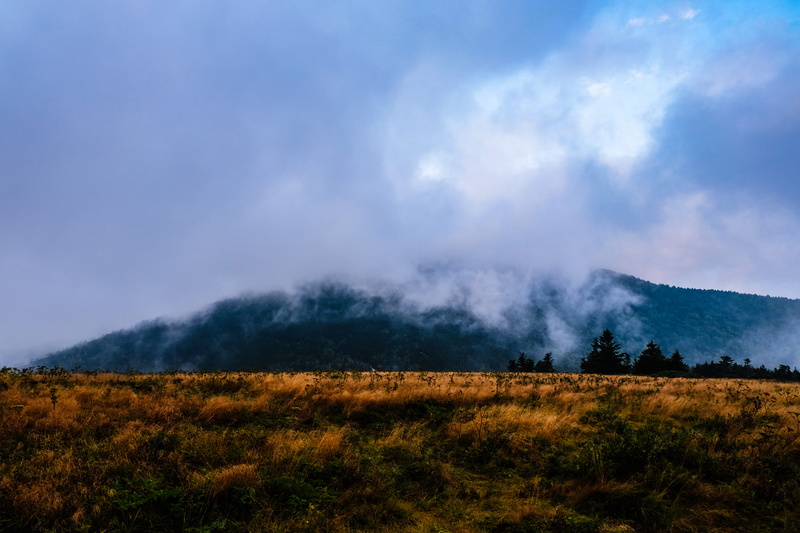 no people, land, 4K, field, non-urban scene, beauty in nature, mountain, scenics - nature, grass, blueridge, mountains, cloudy, tranquil scene, sky, outdoors
