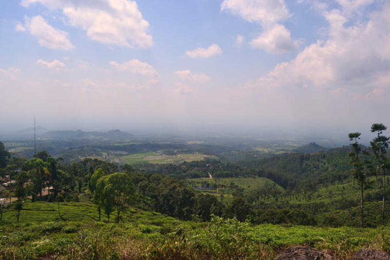 grass, tranquil scene, beauty in nature, land, sky, outdoors, tranquility, summer, non-urban scene, green, mountain, idyllic, nature, tea gardens, nat