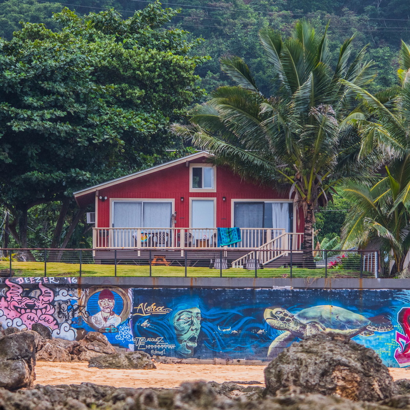 art, white, kahuku, tropical climate, beach, building exterior, wild, north shore, swimming pool, wilderness, nature, house, giovanni shrimp truck and market
