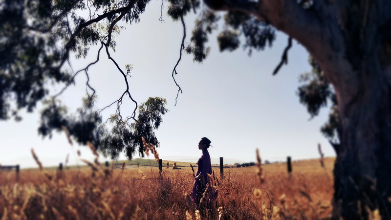 sky, la la land, lifestyles, land, wild and  gabriele, wild animals, landscape, nature, immortal in game, gabriele wild and  cover, one person, willas wild life