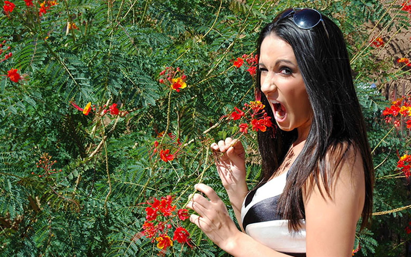 2K, models, corin, outdoors, riggs, brunettes, women