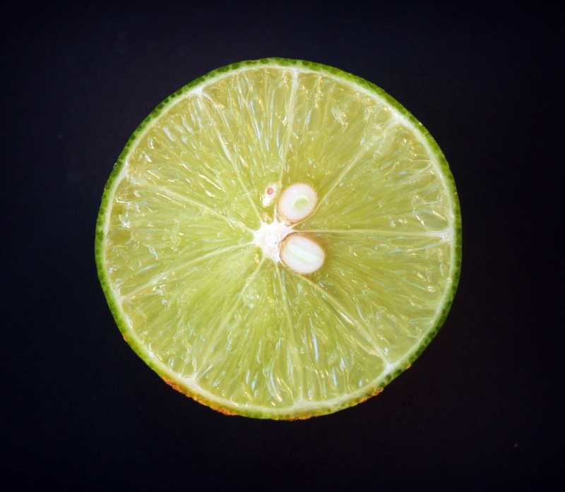 no people, purity, isolated, healthy eating, wellbeing, cross section, branch, white, slice, citrus Fruit, background, lime, food and drink, closeup, foliage