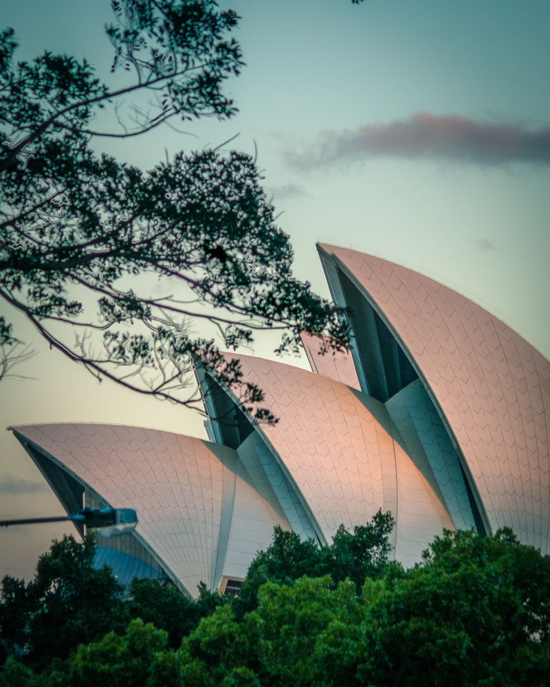 no people, building, architecture, sky, opera, travel destinations, arts culture and entertainment, nature, built structure, low angle view, tree, growth