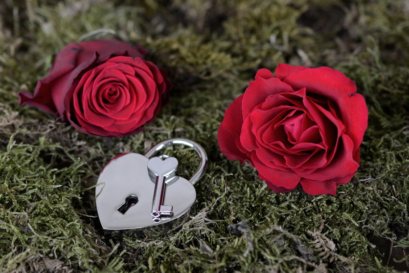 day, two, wedding day, high angle view, fragility, key, blossom, romance, 5K, no people, relationship, red rose, valentines day, freshness, flower head