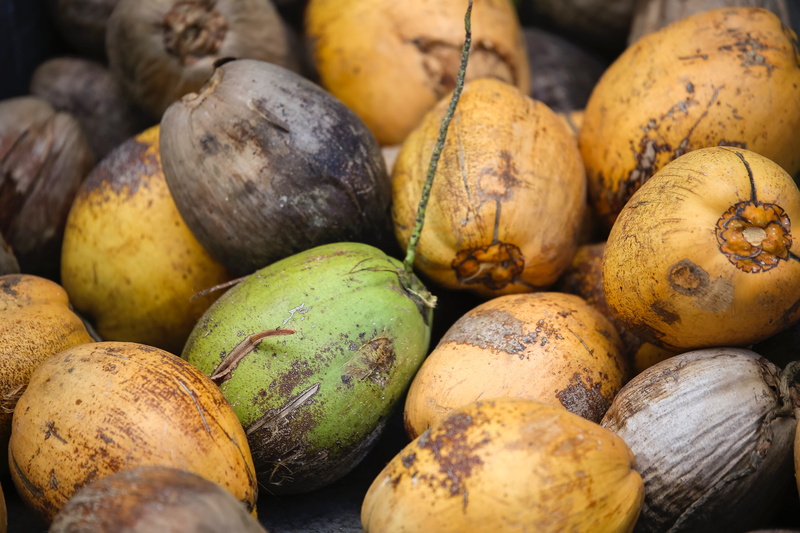 exotic, still life, market, backgrounds, full frame, ripe, cocnuts, food, day, tropical fruit, abundance, vegetable, 5K, green, food and drink, yellow