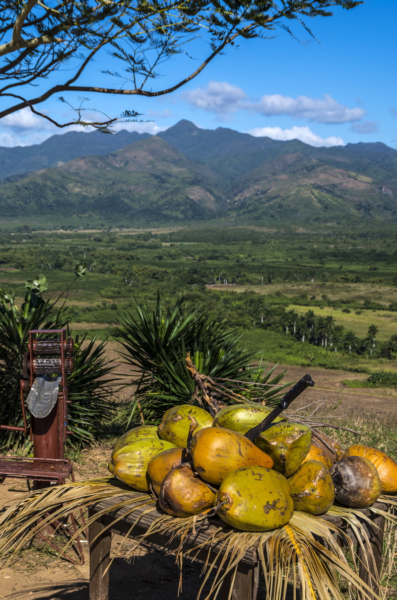 landscape, cuba, plant, nature, day, shells, agriculture, mountain range, healthy eating, trinidad, mountain, land, rural scene, no people, beauty in nature