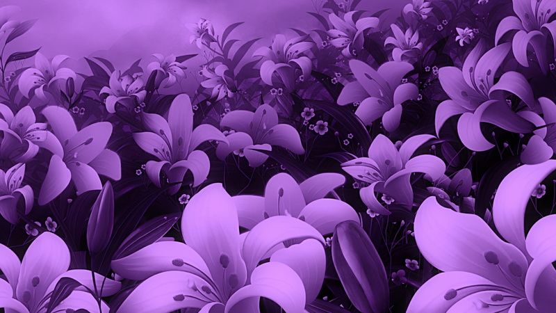 blossom, decoration, light, flowers, floral, design, pattern, colorful, color, flora, botany, violet, spring, shape, graphic, garden, flower