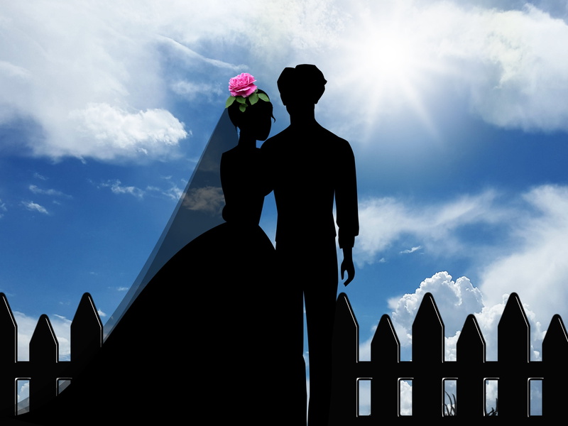 nature, lifestyles, men, cloud - sky, sky, couple, women, newlywed, standing, real people, people, wedding, flowering plant, together, silhouette, affection