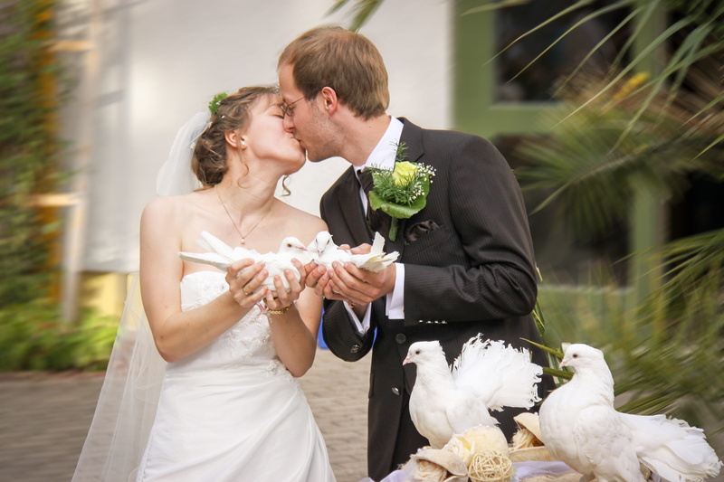 bridegroom, males, Kiss, heterosexual couple, newly, Love, outdoors, bride and groom, 4K, wedding ceremony, adult, wedding photographer, togetherness