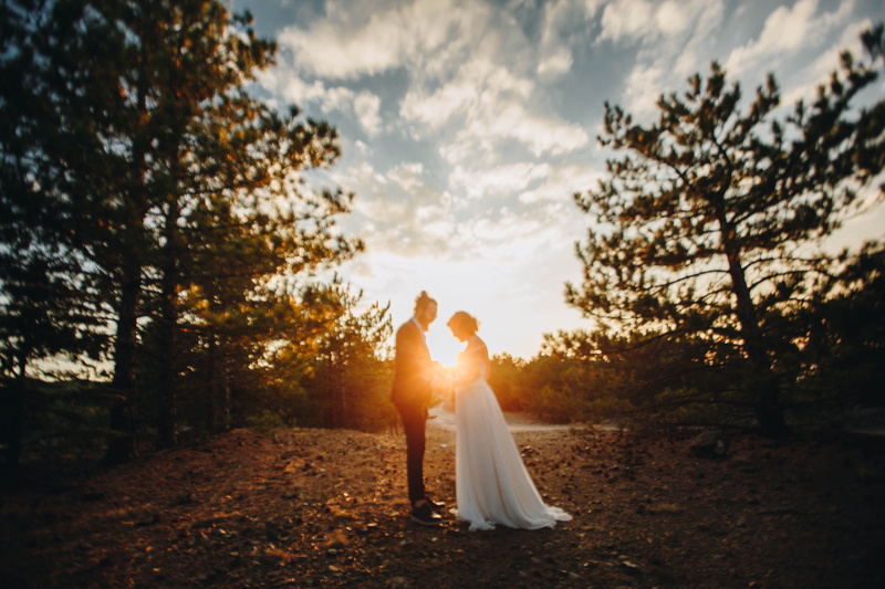 wedding, wife, event, celebration, emotion, trees, newly, couple, outdoors, positive emotion, togetherness, newlywed, bonding, married, women, golden, bridegroom