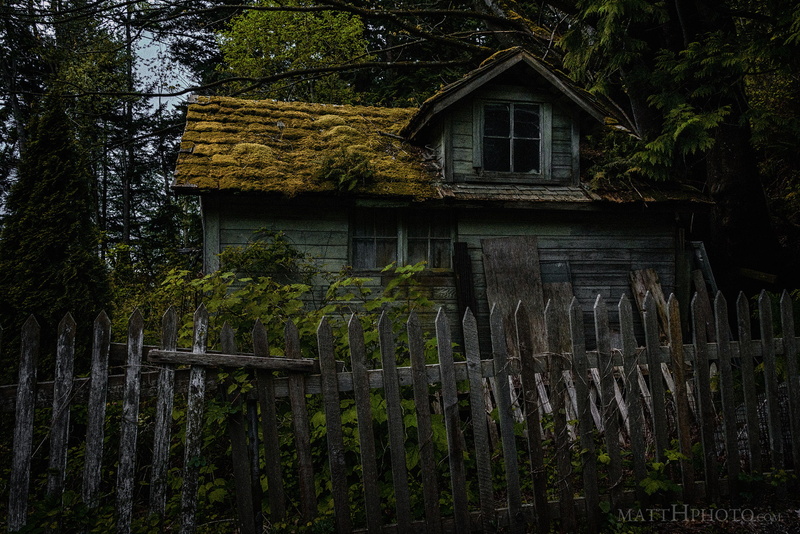 tree, architecture, boundary, green color, outdoors, 500px, fence, matt, growth, building exterior, cottage, building, dark, x, day, plant, hd, final, house