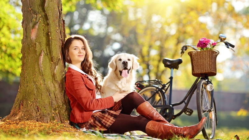 red skirt, sitting, 1080P, dog