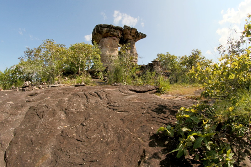 environment, growth, solid, rock formation, wilderness, trees, ancient, land, rocks, forest, rock, semi-arid, clouds, no people, rocky, outdoors, plants