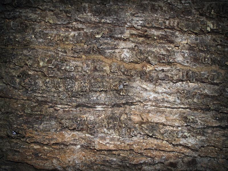 textured, weathered, nature, indoors, textured effect, wood grain, no people, rocks, damaged, rough, close-up, texture, brown, built structure, flooring