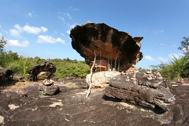 stones, solid, group of animals, mammal, domestic animals, land, trees, herbivorous, rock, sky, environment, no people, rock formation, animal, cattle