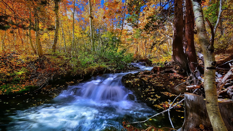 cascade, flowing, beautiful, lovely, 3d and abstract, brown, colorful, autumn, 1080P, trees, pretty, yellow, leaves