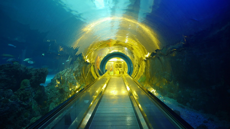 nmmba, the way forward, no people, diminishing perspective, travel, architecture, overnight, underwater, sea, light at the end of the tunnel, tunnel, nature