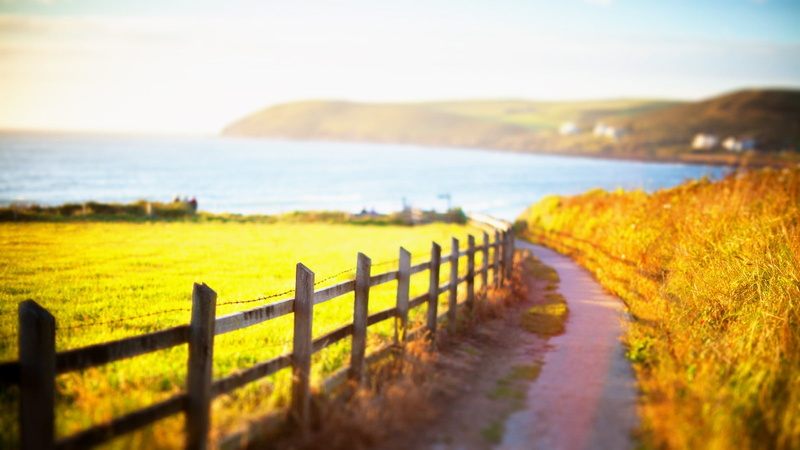 nature, path, fence, 720P, hd, trail