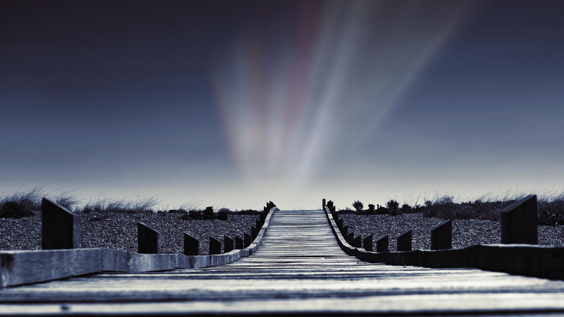 trail, path, hd, nature, 2K