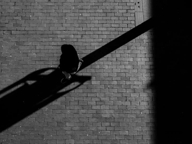 black, focus on shadow, metal, photography, pattern, view from above, bird, lines, outdoors, sunlight, high angle view, no people, aerial view, footpath