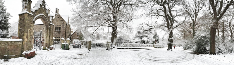 white color, cold temperature, outdoors, snowing, covering, no people, building, trees, bare tree, day, extreme weather, nature, beauty in nature, architecture