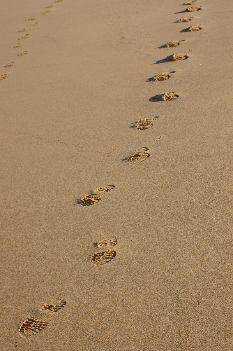 sea, high angle view, no people, print, animal track, jesus, wet, landscape, land, natural, tranquility, 2K, day, nature, walk, barefoot, sunlight, sand