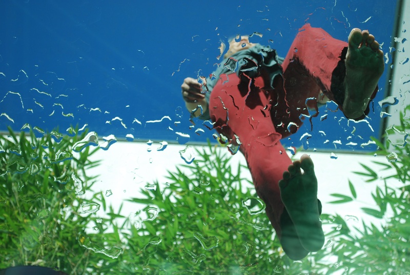 female, marine, health, undersea, vertebrate, feet, day, barefoot, animal wildlife, animal, top, no people, nature, footstep, walking, underwater, green color