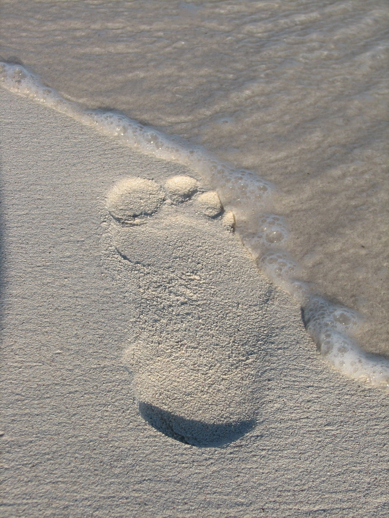 water, beauty in nature, track - imprint, high angle view, wave, land, temporary, 2K, day, no people, tranquility, nature, sea, print, barefoot, track
