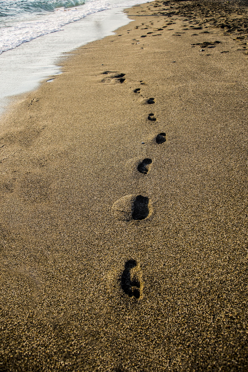beach, footsteps, sea, mystery, paw print, tranquility, footprint, pebble, sand, print, nature, no people, outdoors, track - imprint, 5K, high angle view
