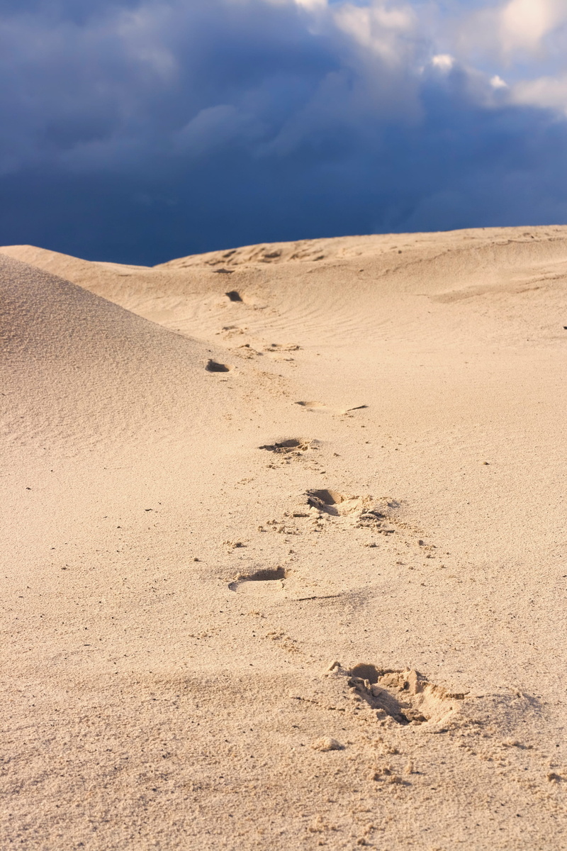 environment, climate, cloud - sky, beauty in nature, dunes, 4K, remote, non-urban scene, YANAO, scenics - nature, arid climate, landscape, beach, sunlight