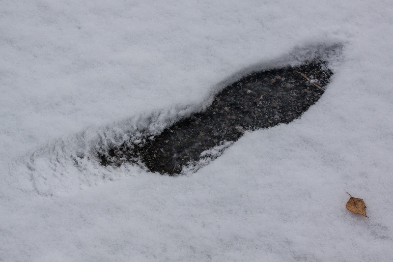 day, snowing, nature, no people, cold temperature, high angle view, scenics - nature, step, blizzard, covering, winter, foot, land, snow, frozen, 1080P