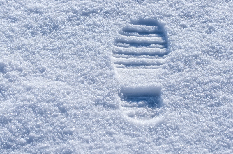field, land, ice, white, snow, trace, foot, footstep, beauty in nature, mark, day, powder snow, cold temperature, no people, outdoors, winter, high angle view