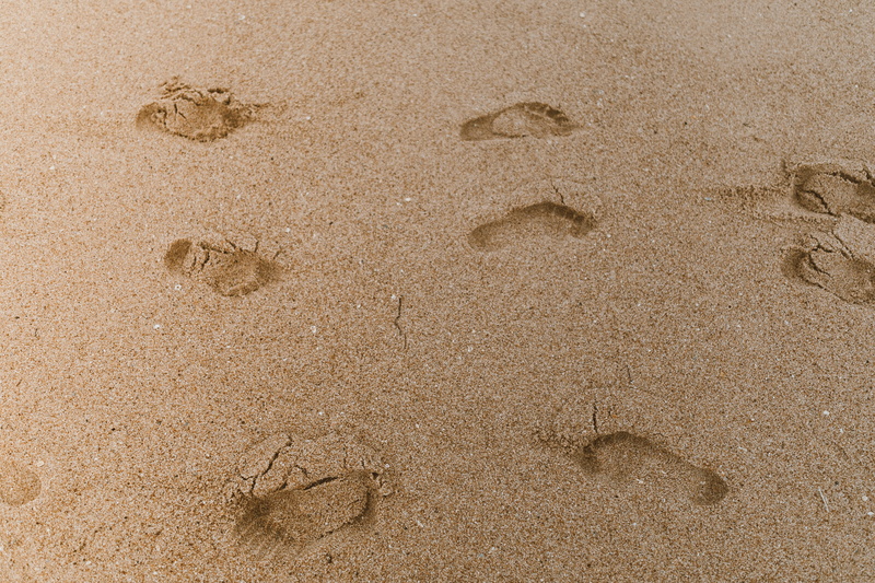 nature, vacation, print, follow my path, paw print, beach sand, trek, full frame, walking on the beach, outdoors, walk, footprint, holiday, pattern, seashore
