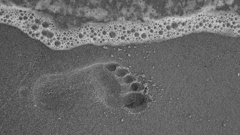 mark, coast, sand, tranquility, beach, mystery, full frame, land, 4K, footstep, outdoors, aquatic sport, seaside, print, footprint, foot, high angle view